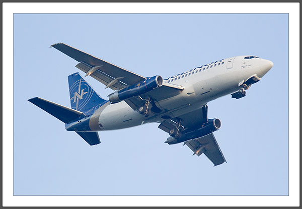 C-GNLN,