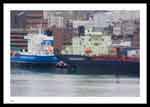 Woosward Group vessels docked at St. John's HArbour