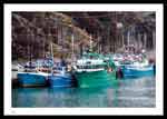 Small Boat Basin, St. John's Harbour