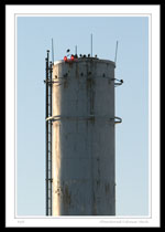 Abandoned Exhaust Stack at the old janeway Hospital