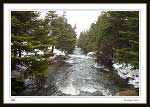 Savage Creek, Logy Bay