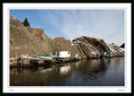 Staegs at Quidi Vidi  2006-01-04