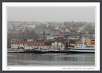 St. John's Harbour