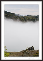 St. John's Harbour Fog