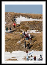 Signal Hill Hike