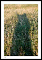 Self-portrait in shadow  (I was waving my left hand)