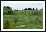 Bally Haly Golf Course