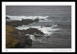 Timber Cove Island, Brigus South