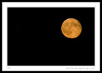 Moon rise over  Logy Bay, Sept. 8, 2006.